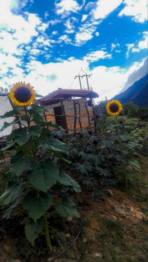 Hostal Las Valkirias Matanza Екстер'єр фото